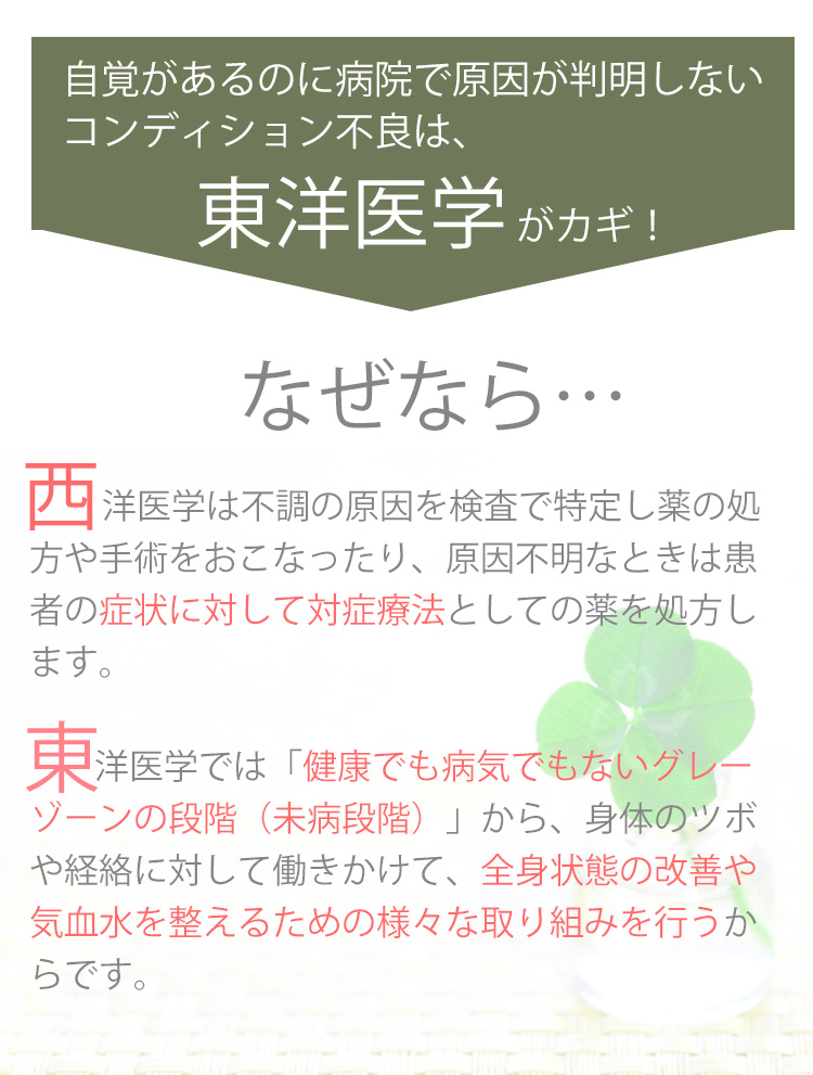 東洋医学は全身状態の改善や気血水を整えるための様々な取り組みを行います